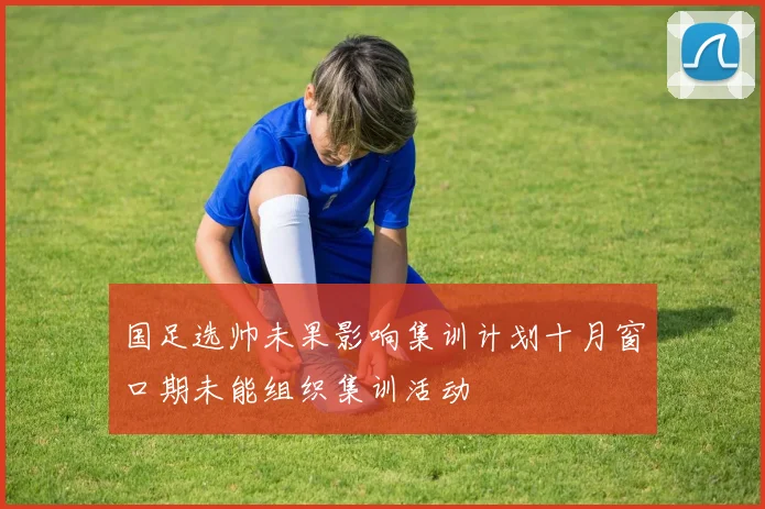 国足选帅未果影响集训计划十月窗口期未能组织集训活动