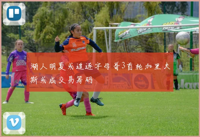 湖人明夏或追逐字母哥3首轮加里夫斯或成交易筹码