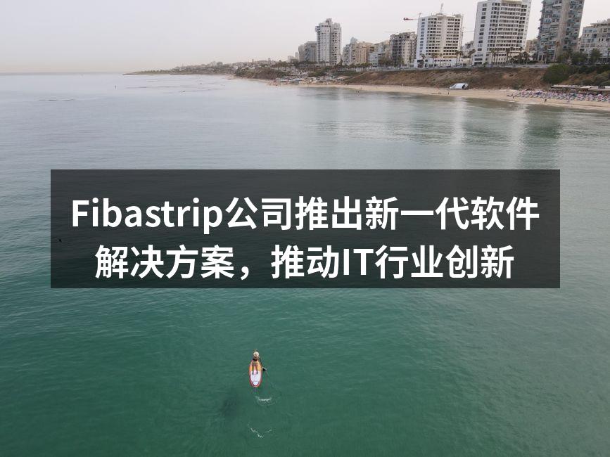 Fibastrip新软件发布会现场