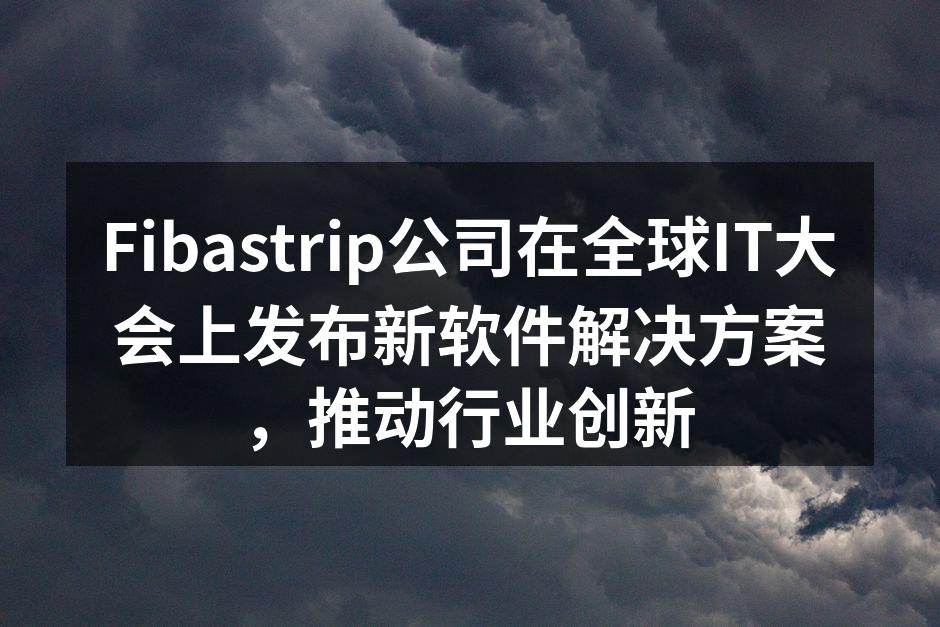 Fibastrip公司在全球IT大会上发